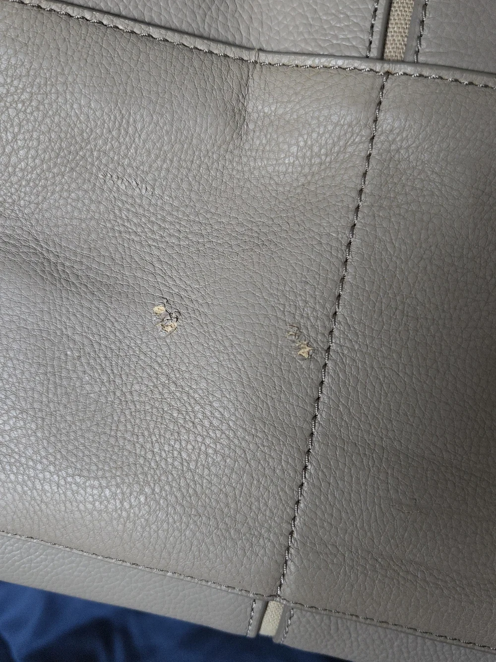 Tory Burch Mauve Beige Tote with Interior Zip Pocket